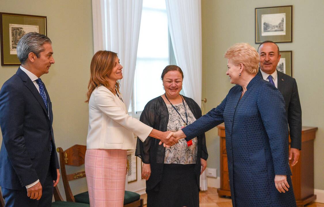 Mevlutu Cavugoğlu ir Dalia Grybauskaitė