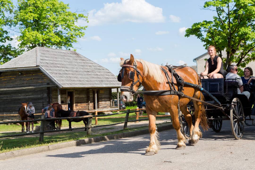 Orai smogė kaimo turizmui: nukentėjo ne visi