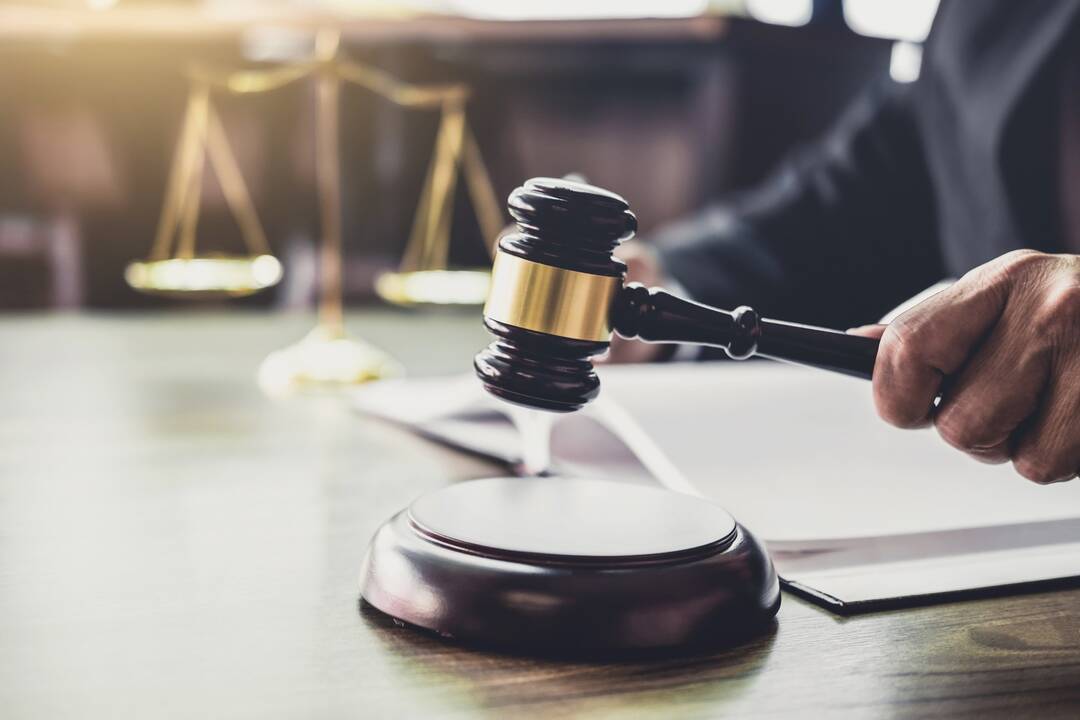 Penki asmenys bus teisiami dėl disponavimo vaikų pornografija