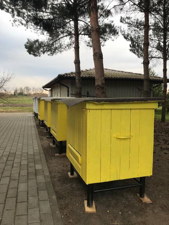 Ramūnas Žemaitis su sūnumi
