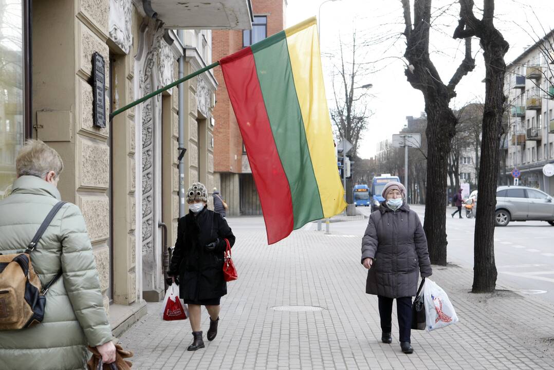 Apsauga: valstybinė vėliava yra saugoma įstatymo, pagal kurį nustatyti ne tik reikalavimai, kada ir kaip ji turi būti keliama, bet ir baudos už jos išniekinimą.