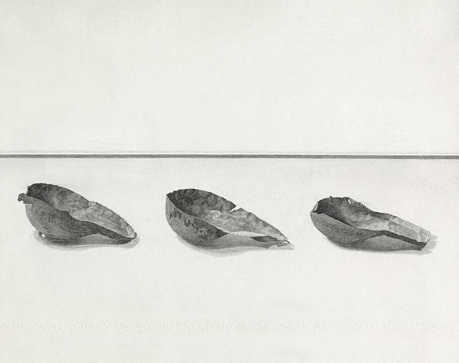 Ekspozicija: šiandien 18 val. Baroti galerijoje (Didžioji Vandens g. 2) atidaroma dailininko A. Švėgždos kūrybos paroda.