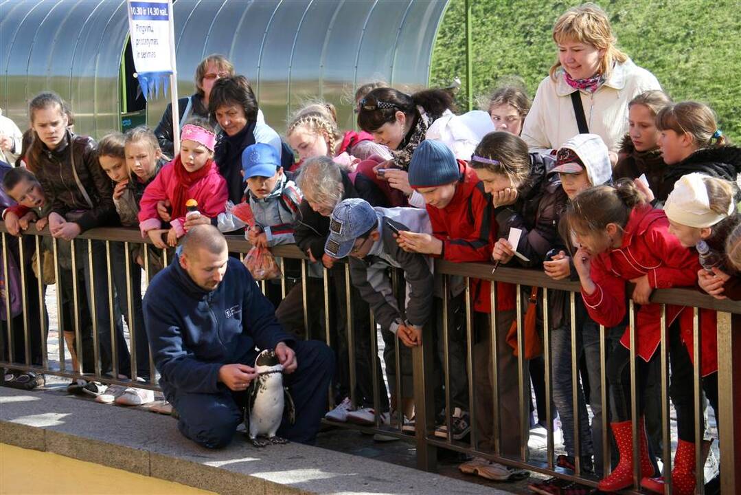 Ritualas: nemokami apsilankymai muziejuose paskutiniais mėnesio sekmadieniais gyventojams jau tapo įpročiu.