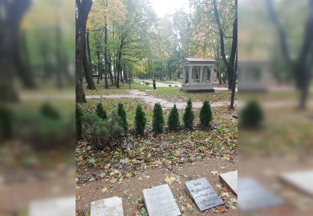 Sprendimas: atnaujintame Skulptūrų parke, šioje vietoje, netrukus atsiras akmeninė plokštė, skirta V. Šulcui.