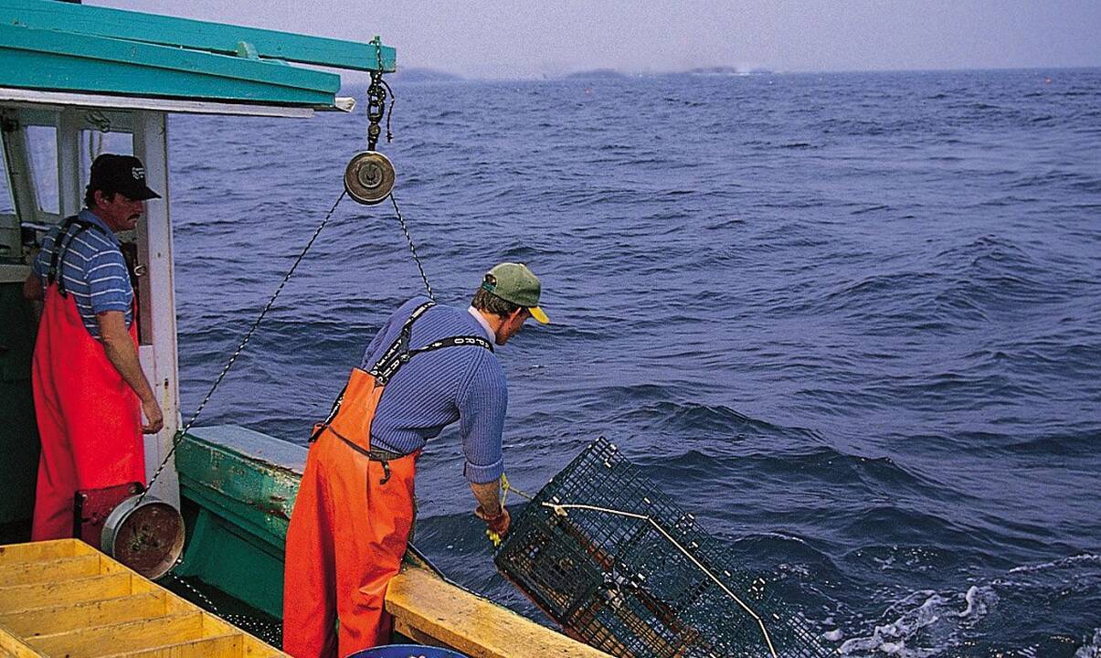 Interesas: Norvegijos ekonominėje zonoje krabus gaudo ir Lietuvos žvejai.