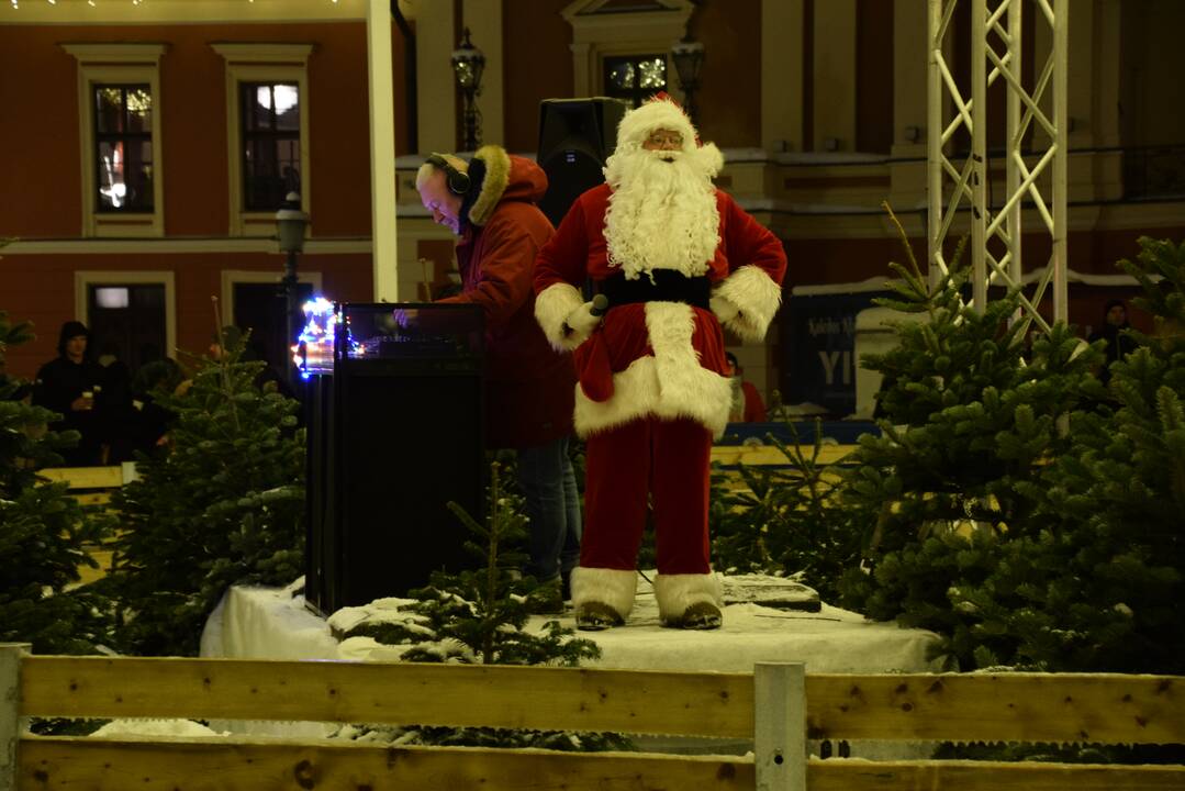 Šventiniai renginiai prie Klaipėdos eglės