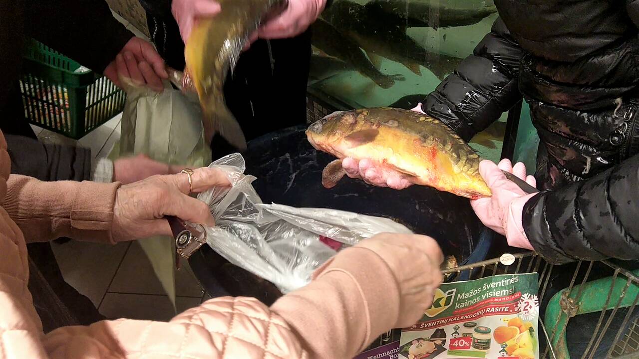 Žuvys kruviname akvariume