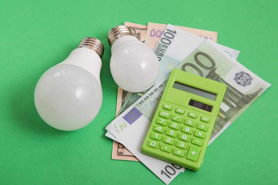 Prezidentūra: elektros kainą reikia įšaldyti ties 24 centais, kitaip ji brangtų 80 proc.