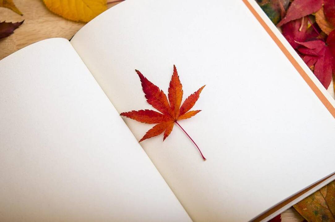 Ką skaityti rudens vakarais? (knygų apžvalga)