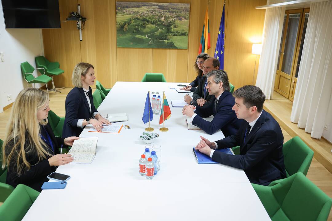 Kęstutis Budrys ir Kaja Kallas