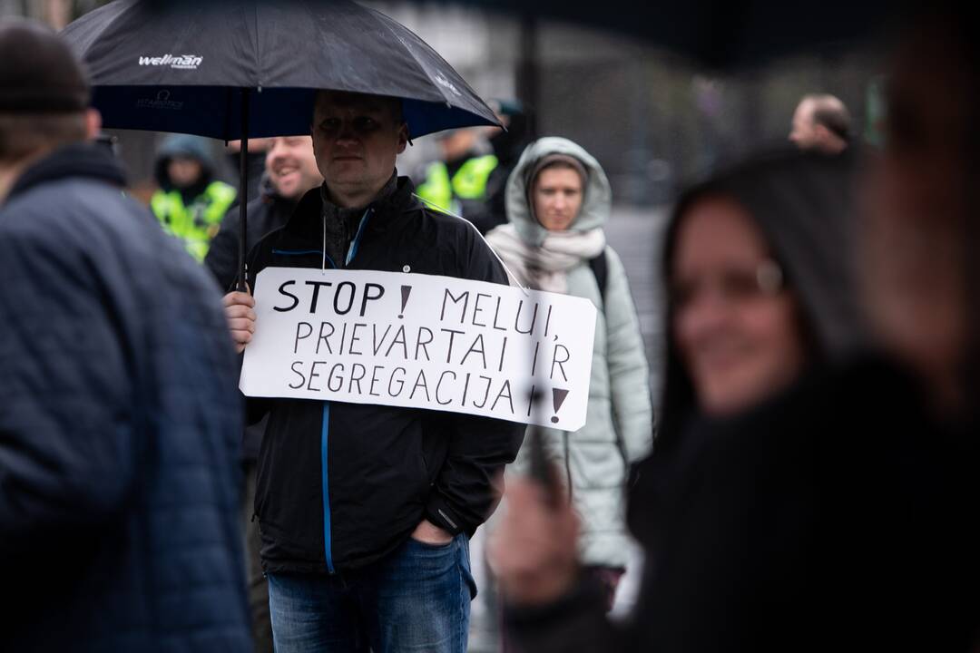 Mitingas už šnipinėjimą nuteistam A. Paleckui palaikyti