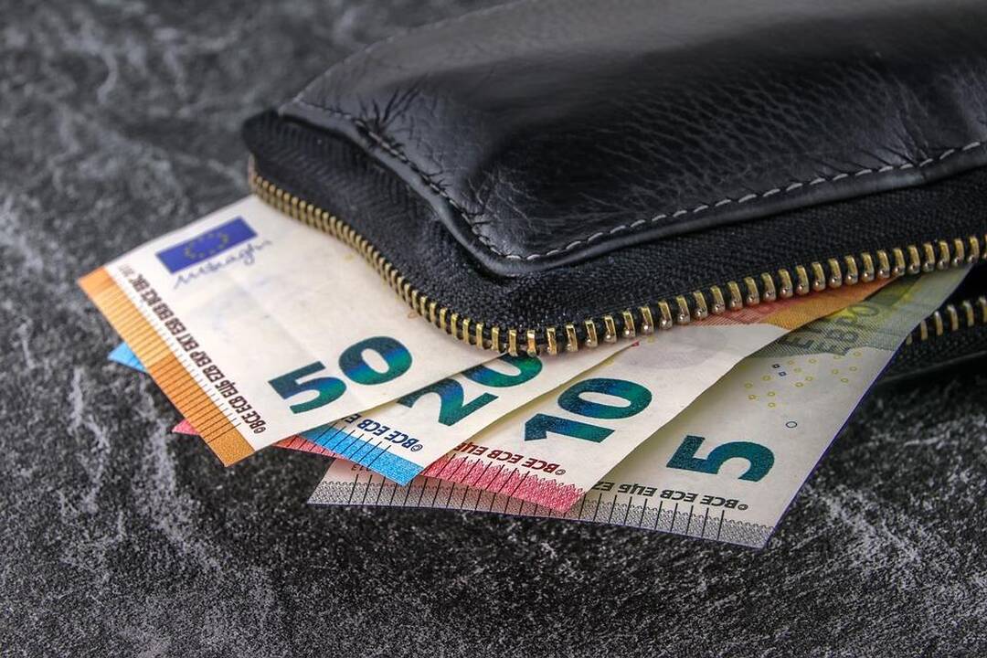 2021 metai bus turtingesni: didėja minimali alga, pensijos, vaiko pinigai