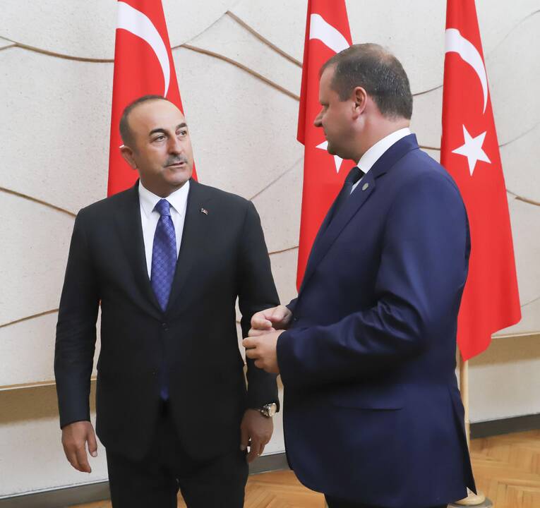 Mevlutu Cavugoğlu ir Dalia Grybauskaitė