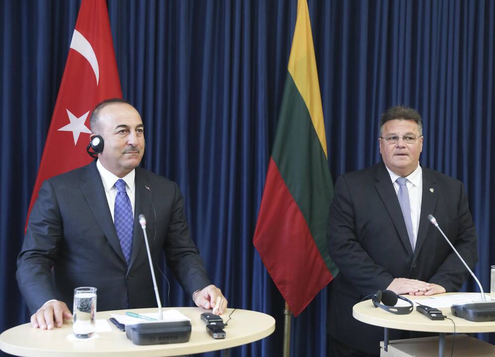 Mevlutu Cavugoğlu ir Dalia Grybauskaitė