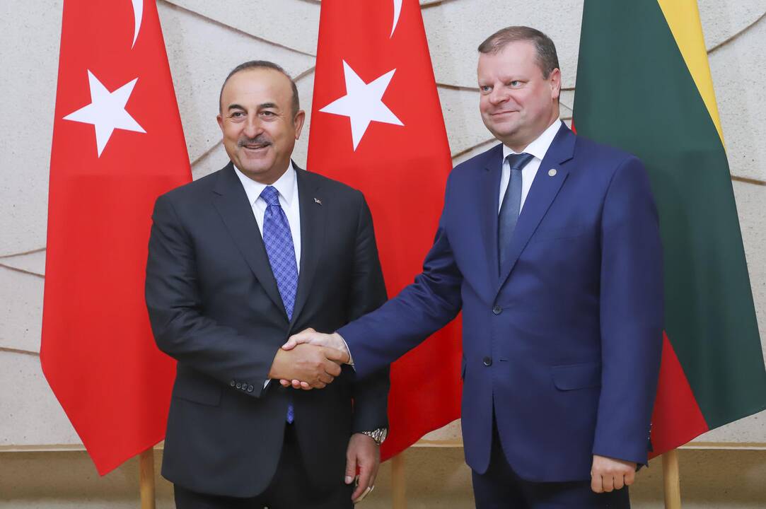 Mevlutu Cavugoğlu ir Dalia Grybauskaitė