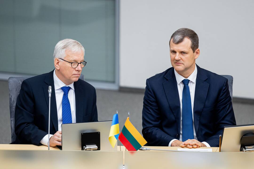 Rimantas Šadžius ir Gintautas Paluckas