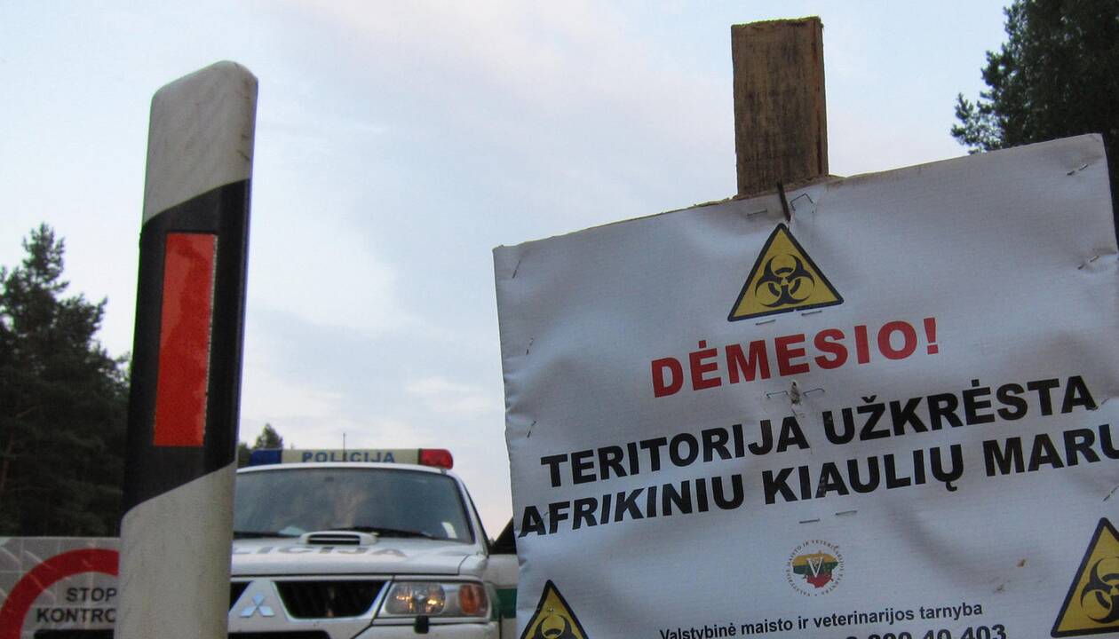 Dar vienas kiaulių maro protrūkis – Prienų rajone