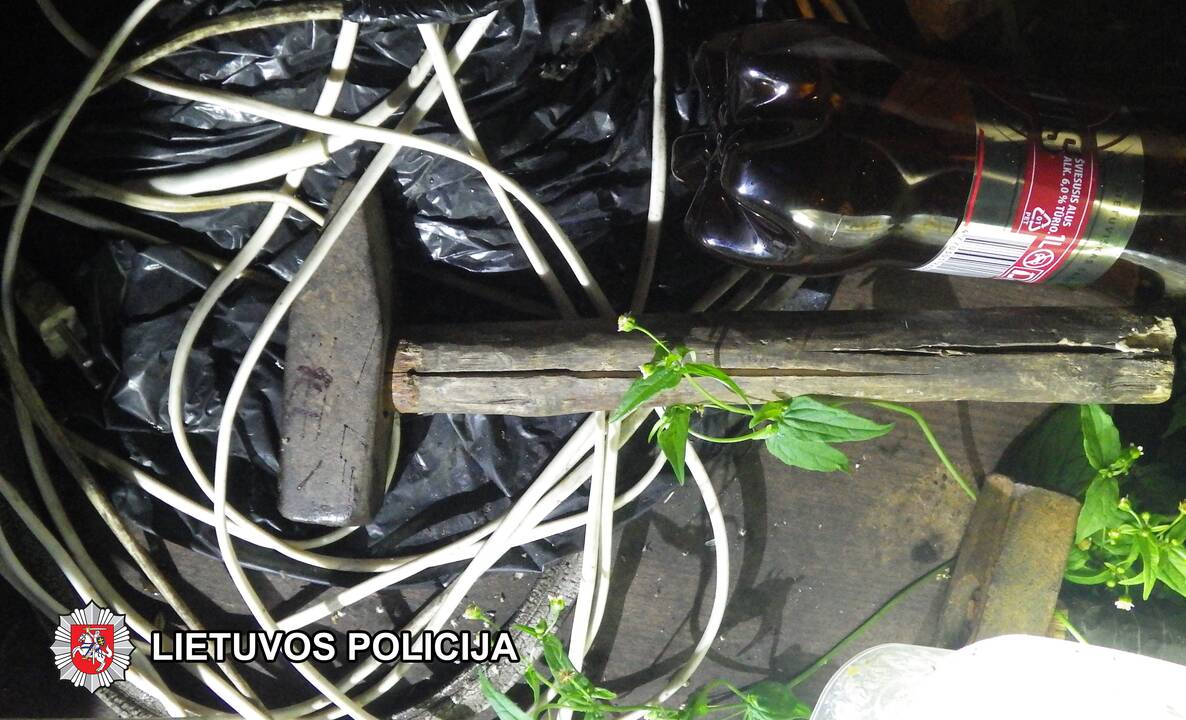 Teismui perduota byla dėl žmogžudystės Trakų rajone