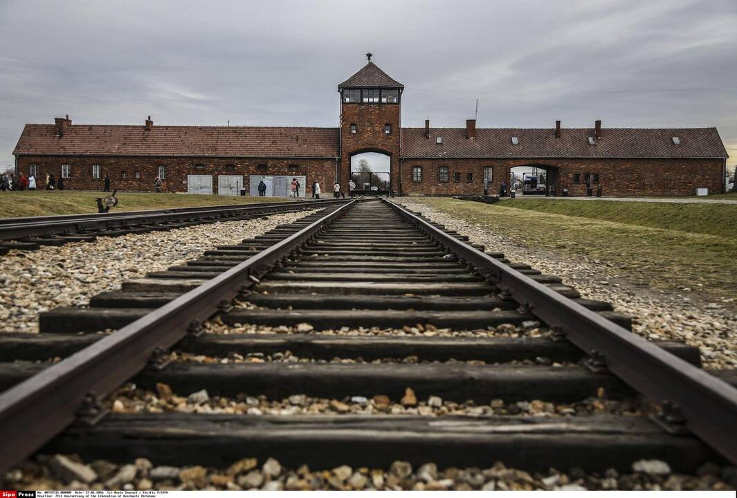 Tyrimas: 1,47 mln. žydų buvo nužudyta vos per tris mėnesius