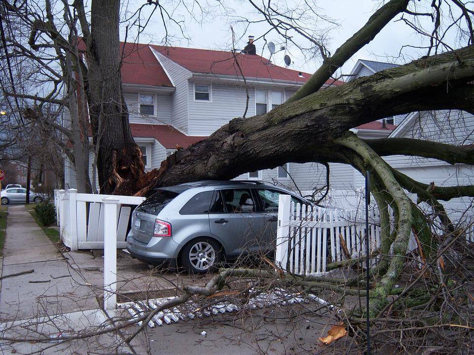 Lietuviams svarbiausia apdrausti automobilį ir namus