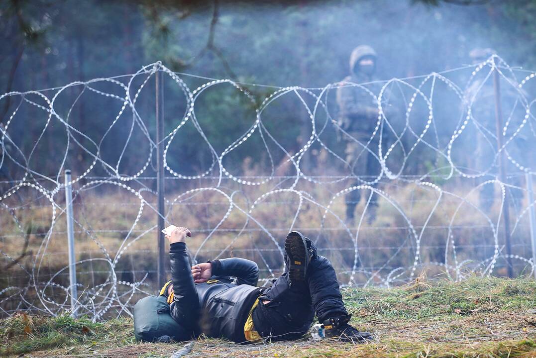 Nelegalūs migrantai Lenkijos ir Baltarusijos pasienyje