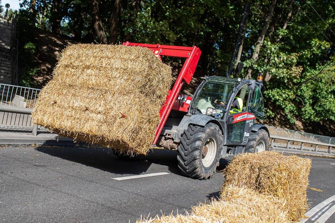 Pasiruošimas „Red Bull muilinių lenktynėms“
