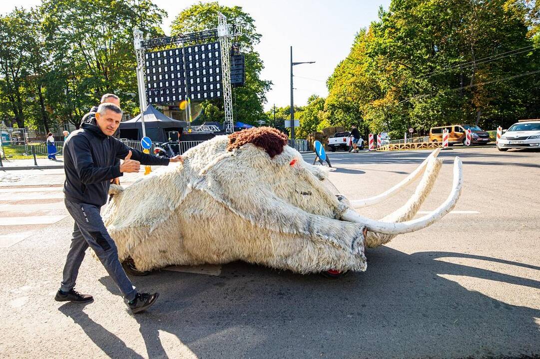 Pasiruošimas „Red Bull muilinių lenktynėms“