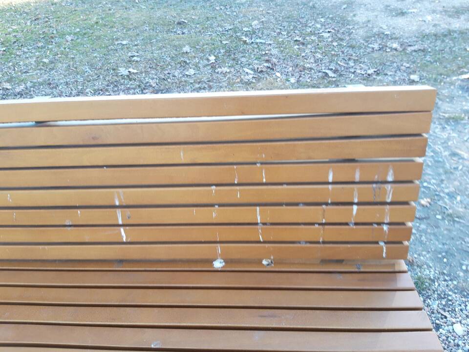 Apdergti Kalniečių parko suoleliai