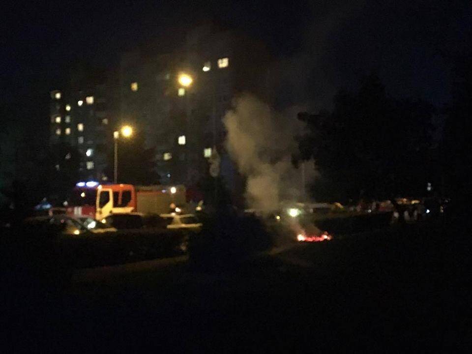 Šilainiuose ugniagesiai gesino degančius krūmus