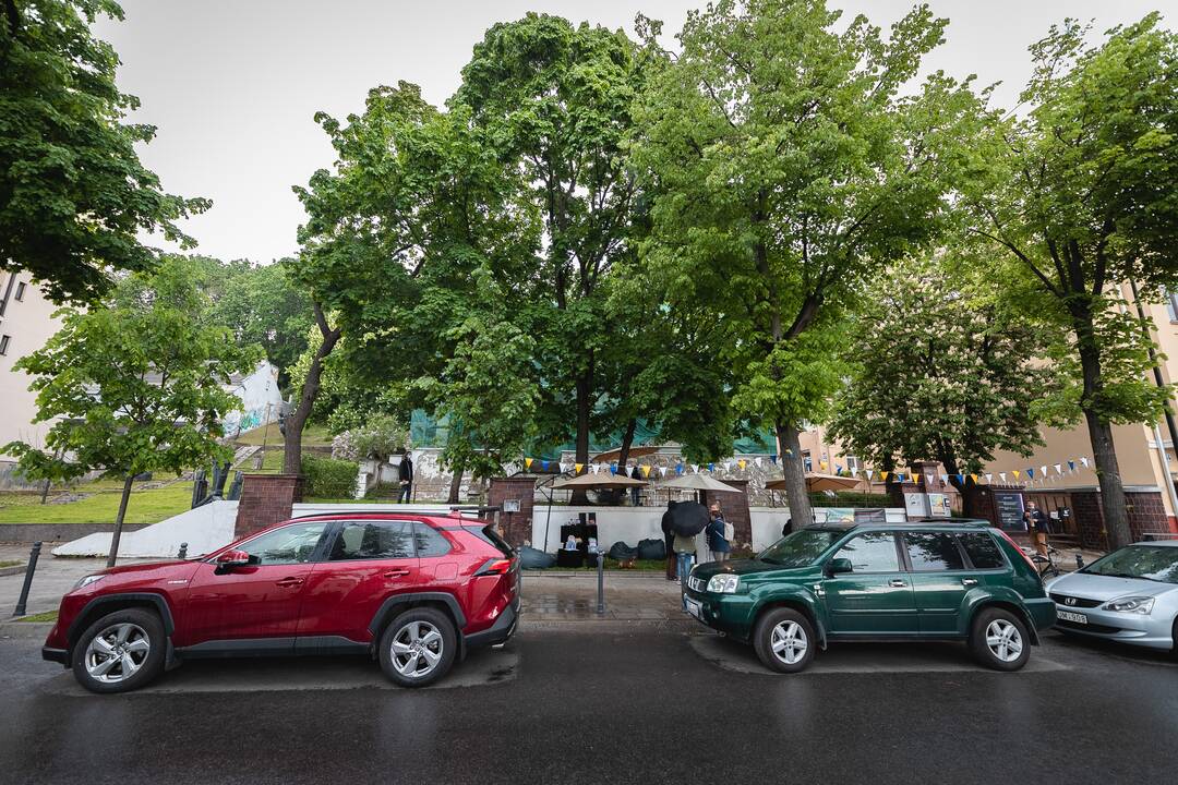 V. Putvinskio gatvės diena