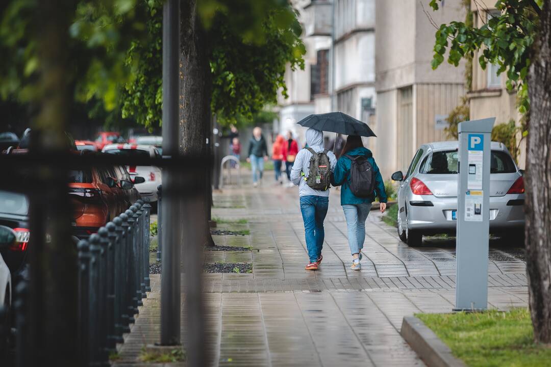 V. Putvinskio gatvės diena