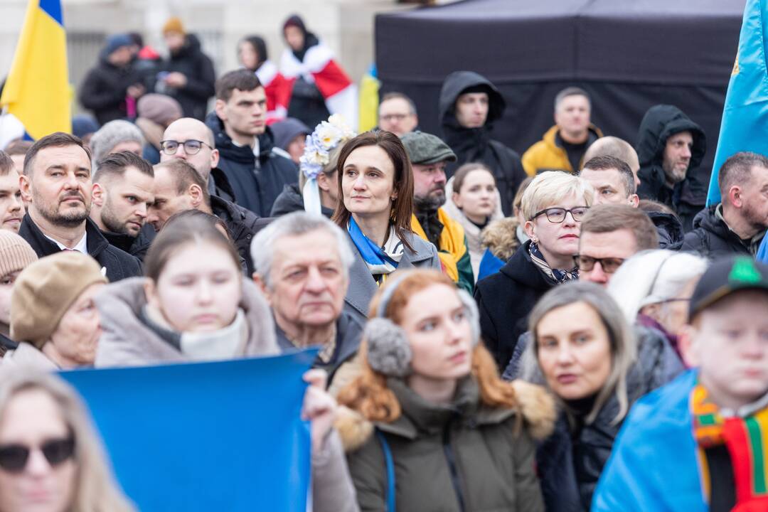 Mitingas ir eitynės Ukrainai palaikyti