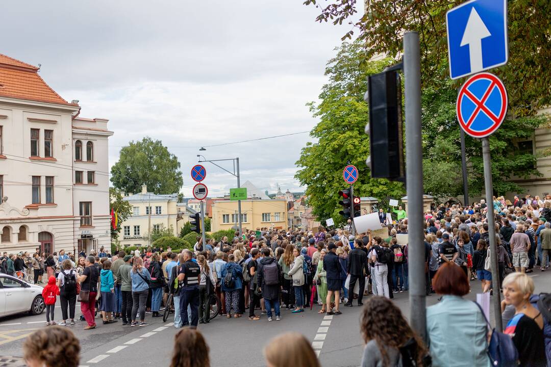 Protestas del medžių J. Basanavičiaus gatvėje