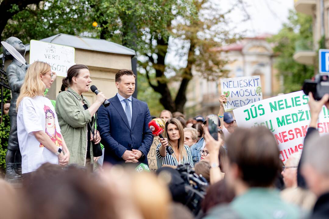 Protestas del medžių J. Basanavičiaus gatvėje