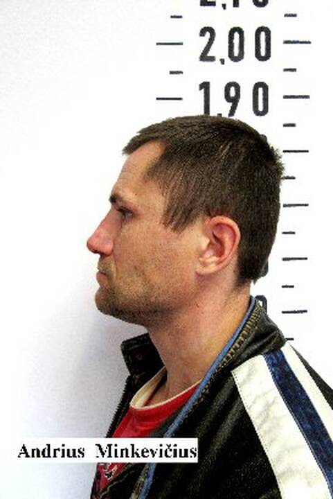 Andrius Minkevičius