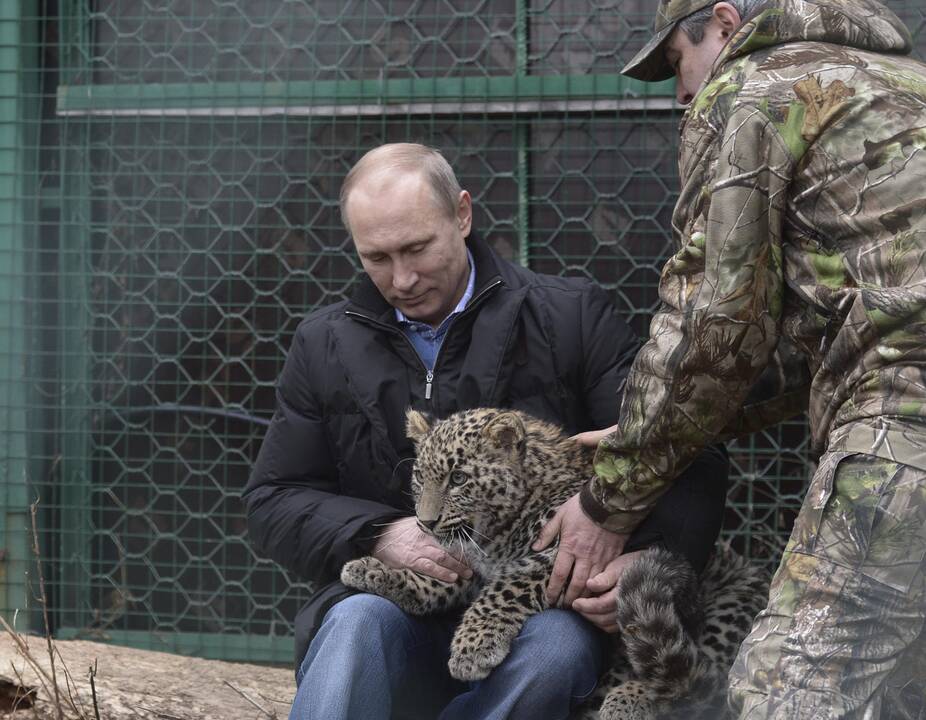 V. Putinas apsilankė snieginių leopardų veisimo ir reabilitacijos centre