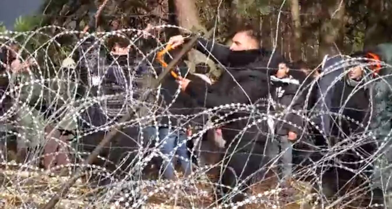 Neramumai Baltarusijos ir Lenkijos pasienyje 