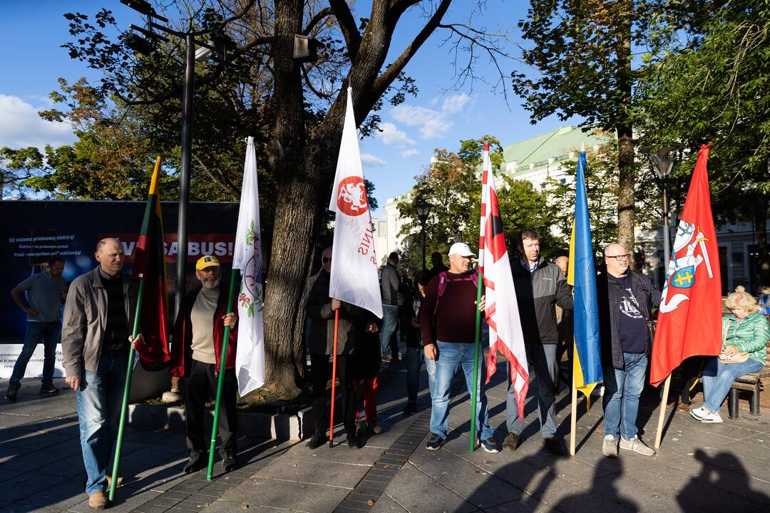 Nacionalinio susivienijimo surengta protesto akcija