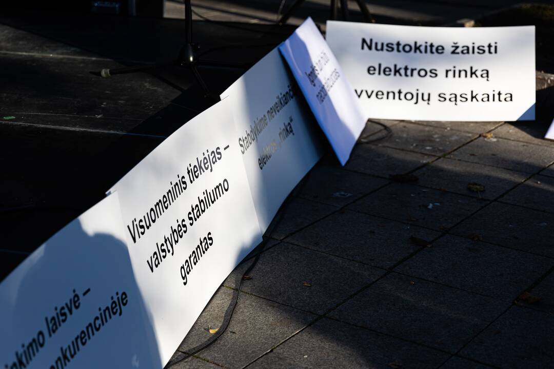 Nacionalinio susivienijimo surengta protesto akcija