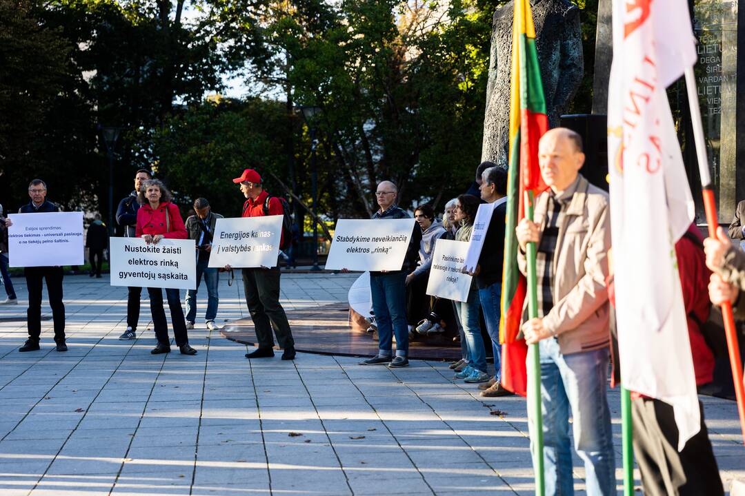 Nacionalinio susivienijimo surengta protesto akcija