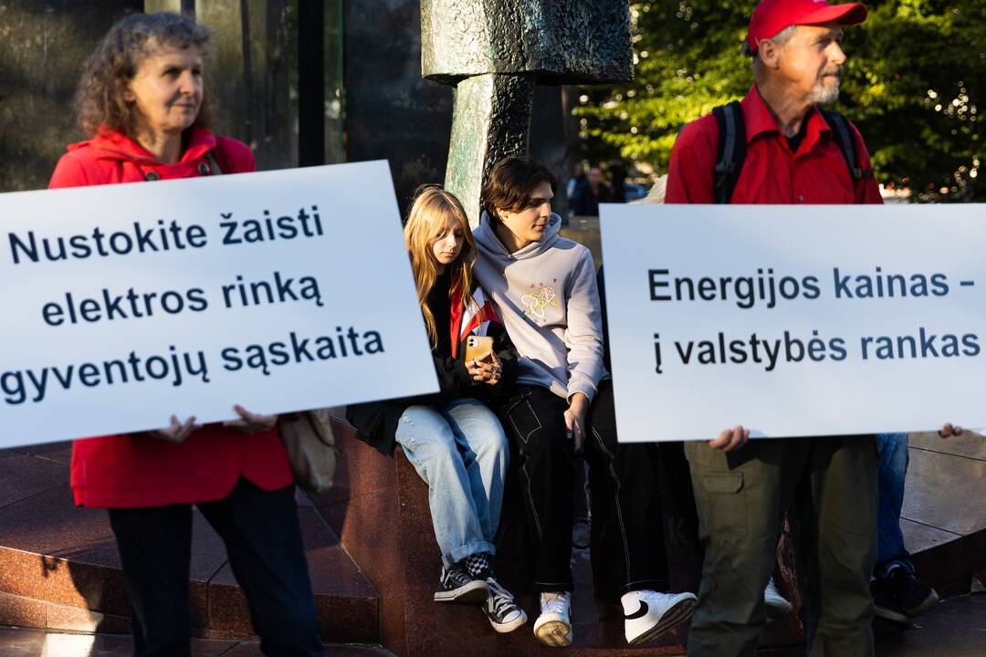 Nacionalinio susivienijimo surengta protesto akcija
