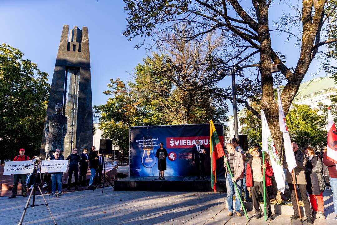 Nacionalinio susivienijimo surengta protesto akcija