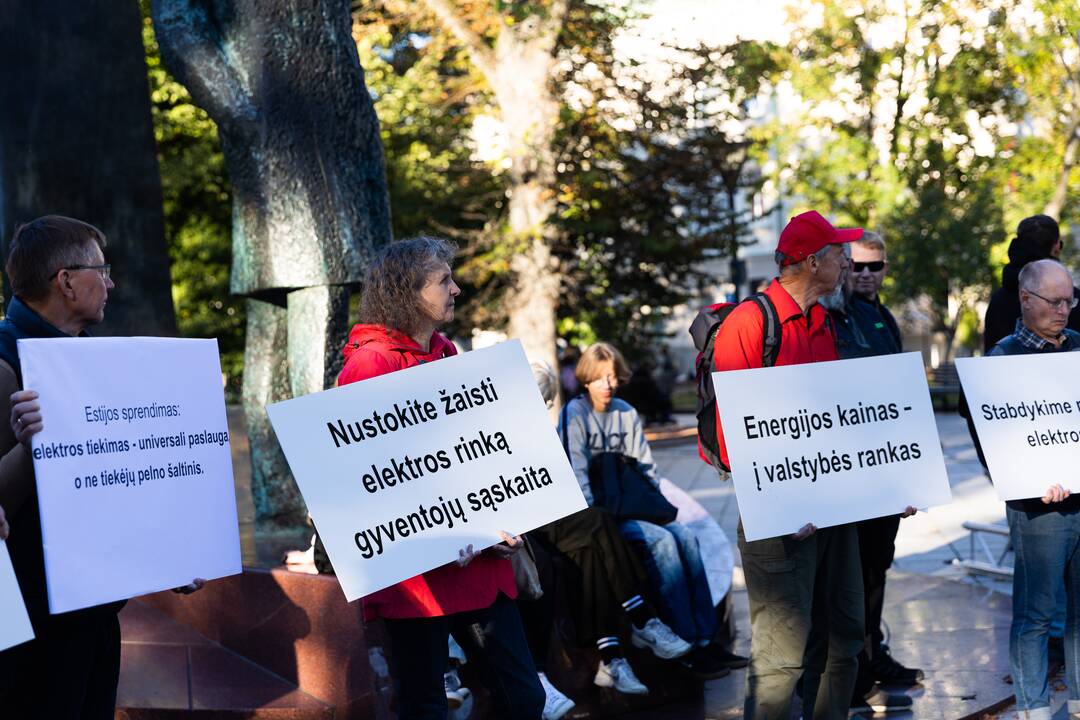 Nacionalinio susivienijimo surengta protesto akcija