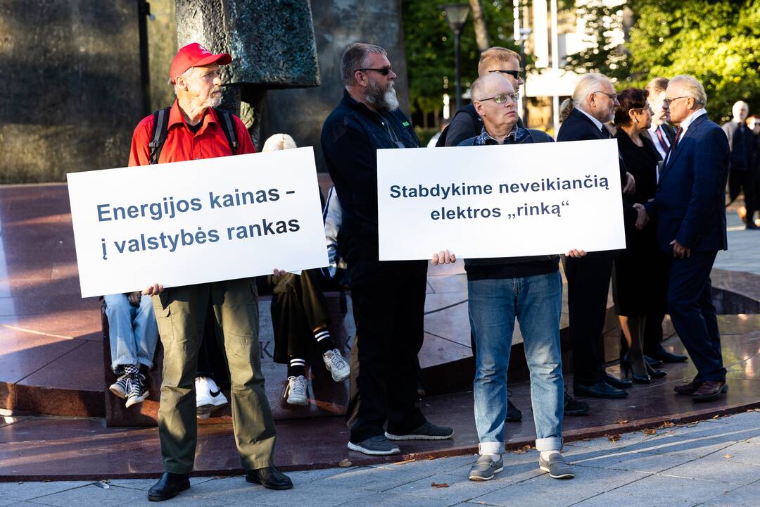 Nacionalinio susivienijimo surengta protesto akcija