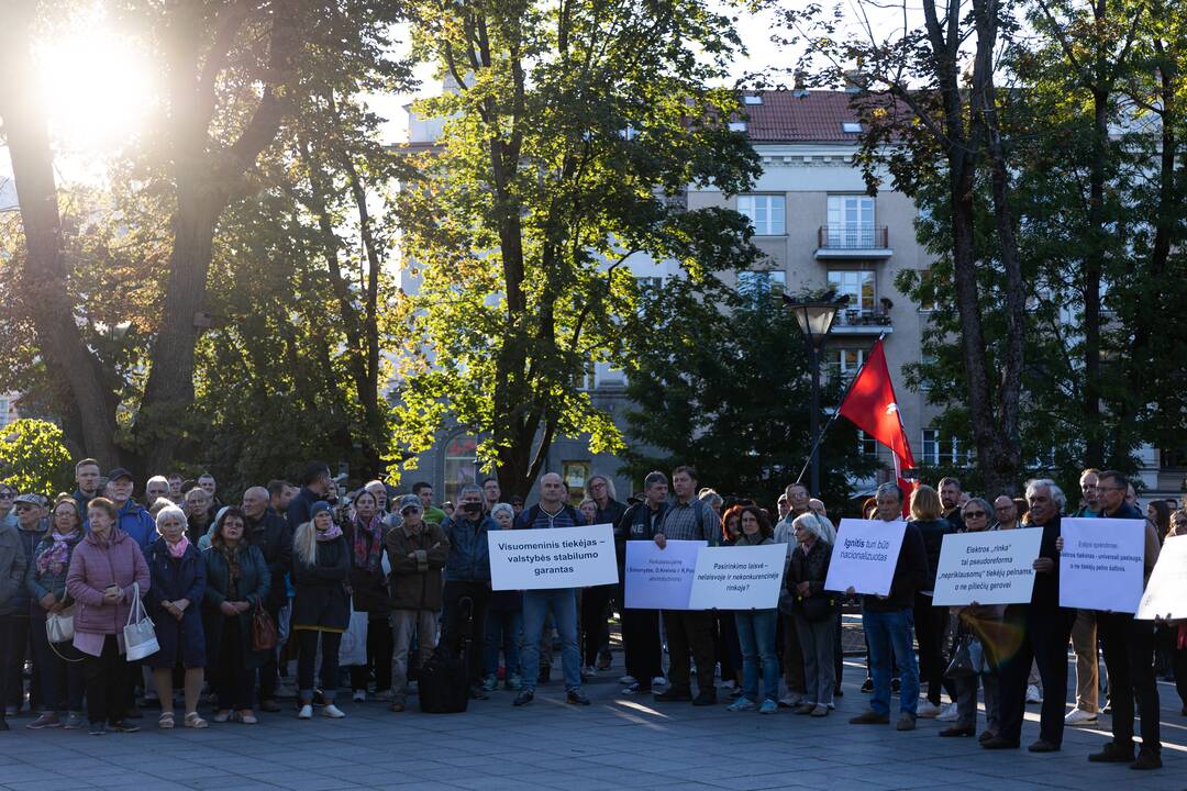 Nacionalinio susivienijimo surengta protesto akcija