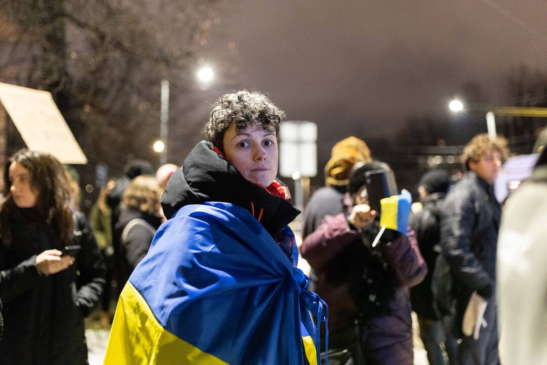  Ukrainos palaikymo mitingas prie Vokietijos ambasados