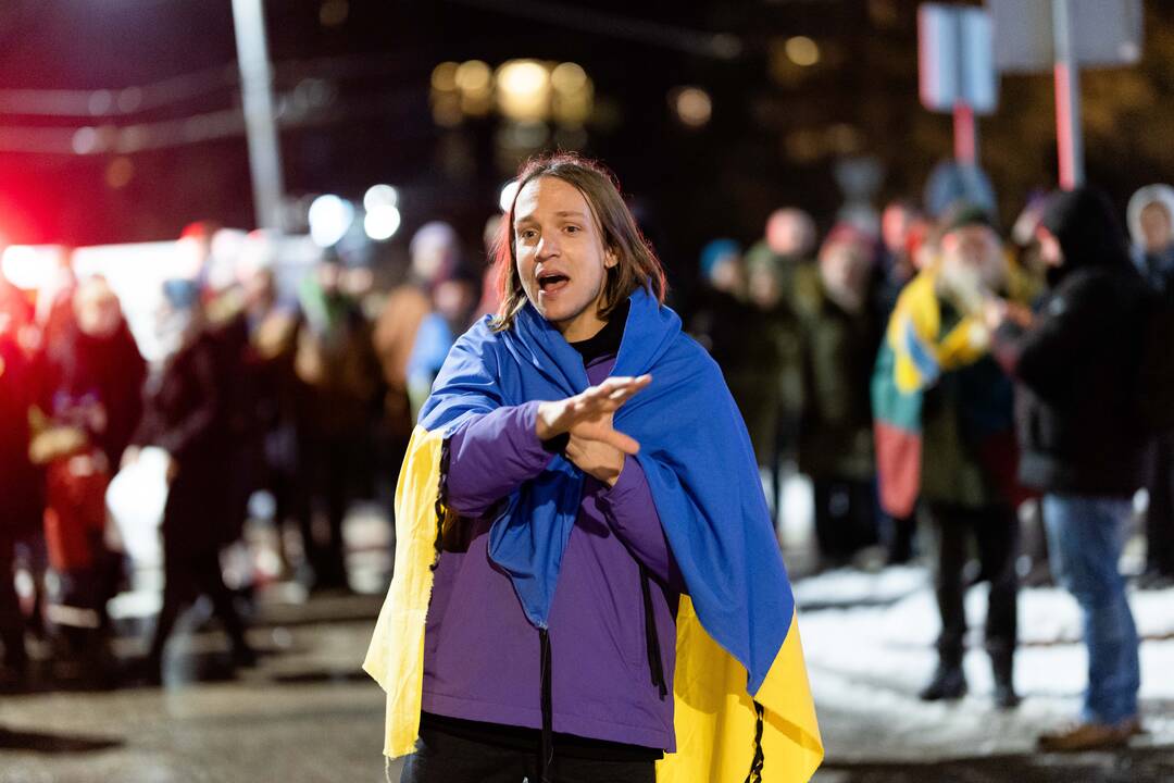  Ukrainos palaikymo mitingas prie Vokietijos ambasados