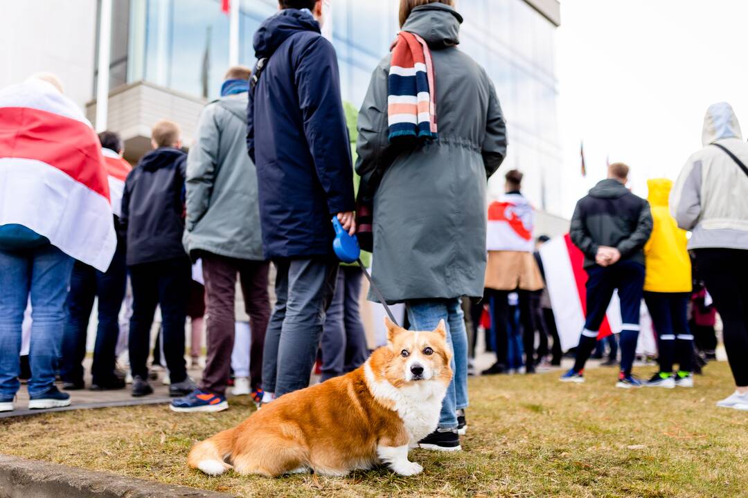 Baltarusijos nepriklausomybės dienos minėjimas Vilniuje