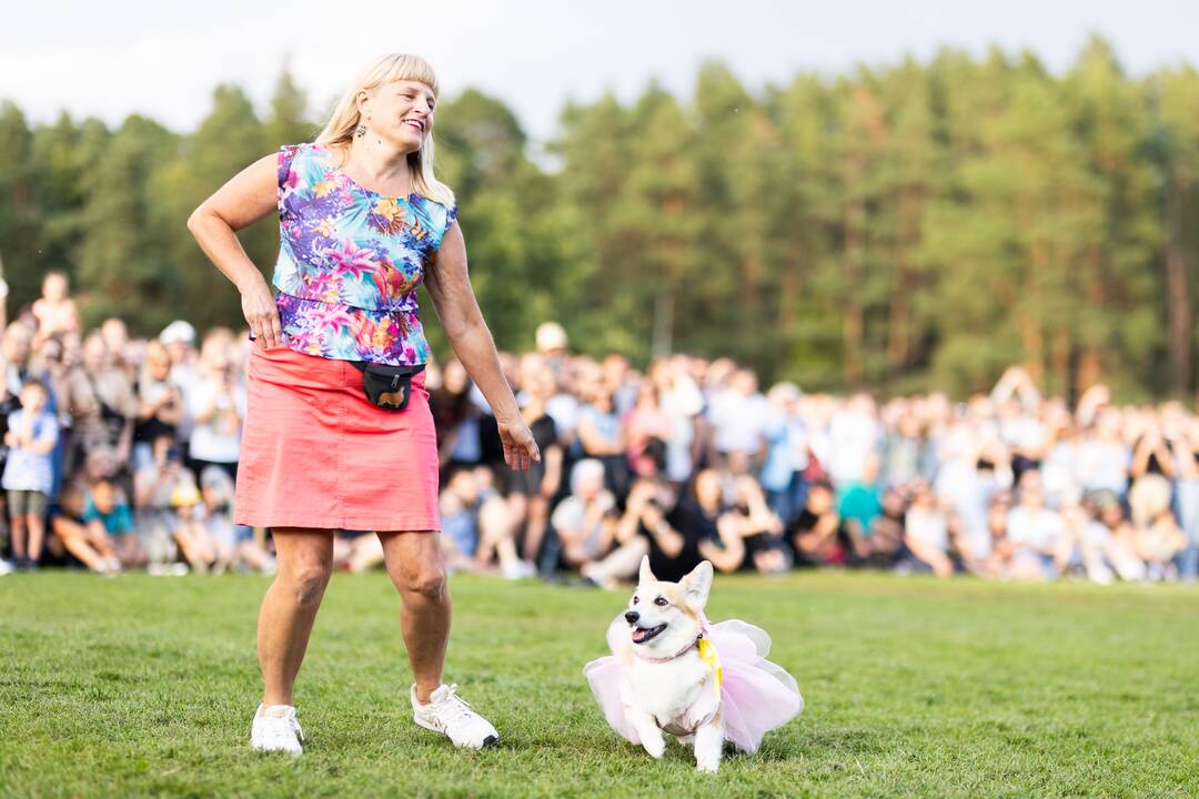 Korgių lenktynės Vingio parke