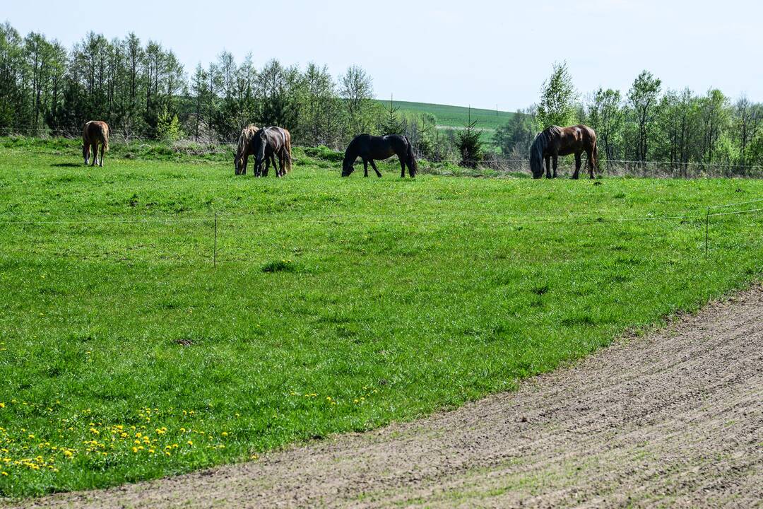 Pirmąjį šių metų ketvirtį užfiksuota beveik 400 žemės naudojimo pažeidimų